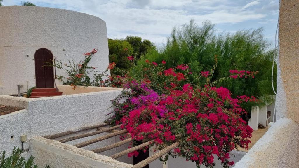 Cortijo Torreblanca