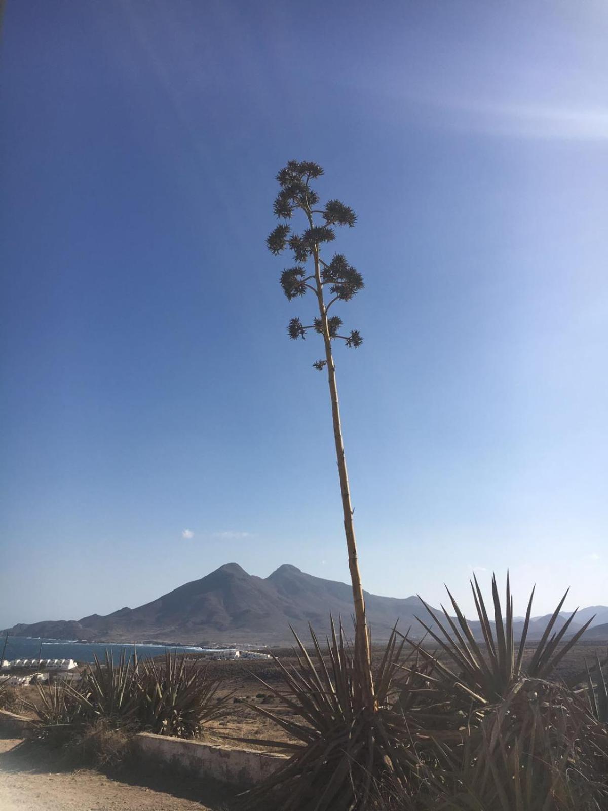 Cortijo Torreblanca Parque Cabo De Gata El Pozo de los Frailes