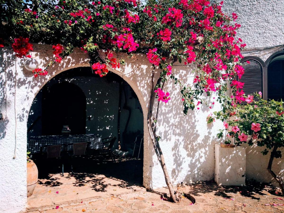 Cortijo Torreblanca Parque Cabo De Gata Country house