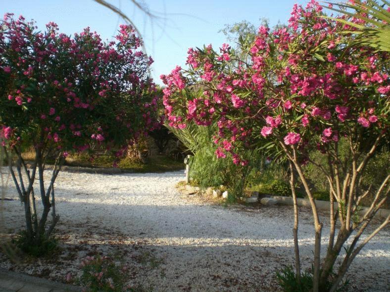 Cortijo Torreblanca Parque Cabo De Gata Landhuis *